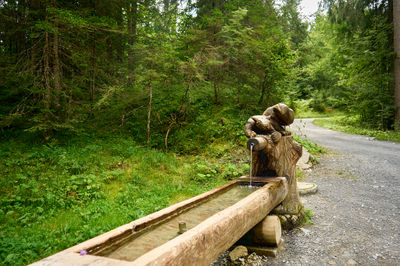 A wooden sculpture in mountain forest