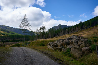 Scottish glen with mountains at the background, a pine tree and a pile of rocks