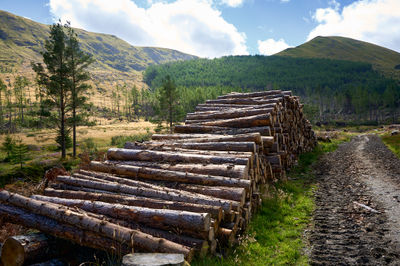 Scottish glen with mountains at the background and a big pile of logs at the foreground
