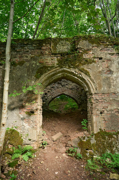 Remnants of the Breadalbane Mausoleum near Finlarig Castle, Killin, Loch Tay