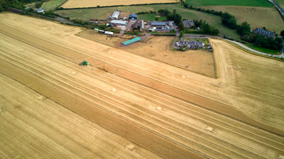 Harvesting - a combine in a barley field in near a small farm