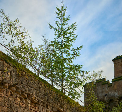 Lennox Castle - inside