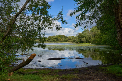 View of a small Scottish loch from a green shore