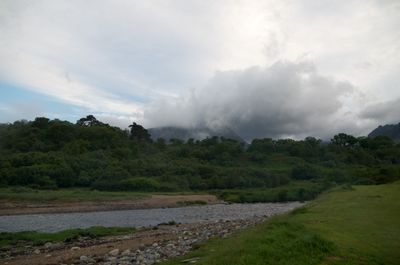 Isle of Arran, Scotland. A mesmerizing scene unfolds as a river winds through a forest, reflecting greenery while mist and clouds shroud towering trees.