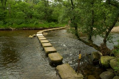 Isle of Arran, Scotland. A serene forest scene with a stone path, tree, and river. The path has different-sized stones.