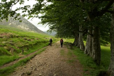 Isle of Arran, Scotland. A couple walks along a scenic path in a grassy field surrounded by mountains. The path is well-traveled and contrasts with the rugged landscape.