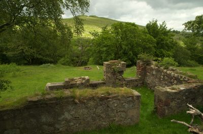 Isle of Arran, Scotland. A tranquil scene with a grassy stone wall covered in plants and a gun.