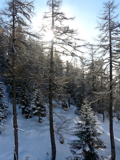 Christmas in Leukerbad, Switzerland