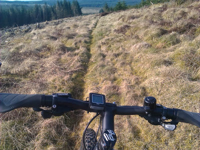 Craik Forest, Scotland