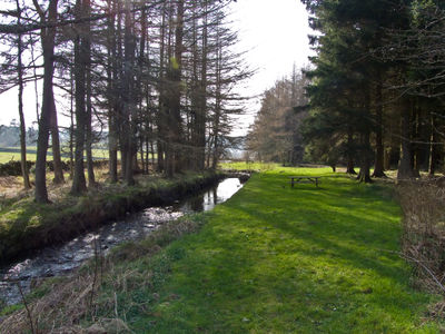 Craik Forest, Scotland