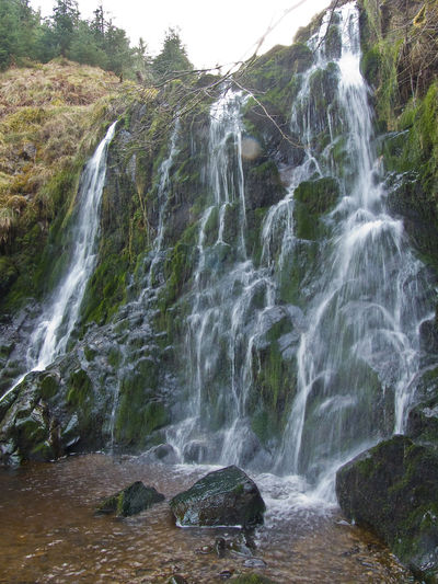 Craik Forest, Scotland