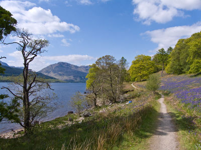 On the West Highland Way along Loch Lomond