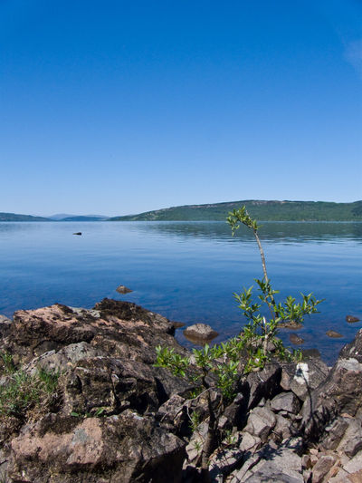 Camping on Loch Rannoch in summer