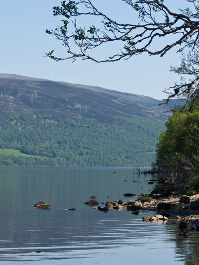 Camping on Loch Rannoch in summer