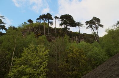 A tranquil landscape with rolling hills, trees, and a blue sky. A house is partially visible amidst the trees, creating a peaceful forest scene.