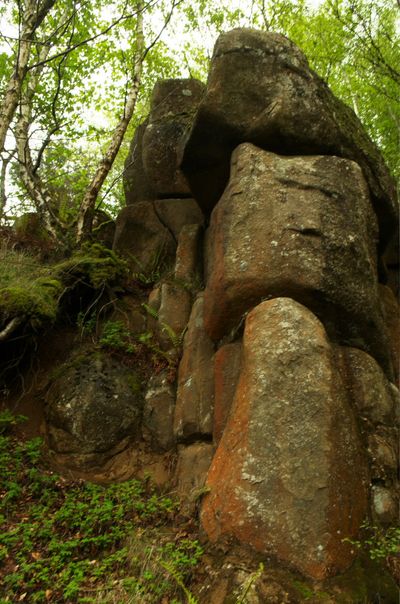 A dense forest with towering trees surrounds a majestic rock formation. Up-close shots reveal intricate details and unique patterns on the rock's surface. The composition demonstrates a harmonious coe