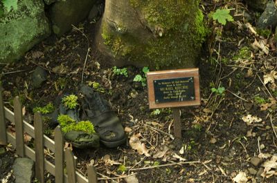 A serene outdoor scene with a sign near a tree, moss-covered stump, detailed rocks, wooden fence, and leaves. Nature's beauty on display, inviting appreciation of the outdoors.