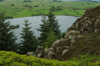 A serene landscape with a calm lake, lush green grass, and towering trees. A majestic tree and rocky cliff enhance the beauty and tranquility of nature.