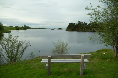 A tranquil scene: a wooden bench by a serene body of water, surrounded by grass and trees. Perfect for relaxing and contemplation.