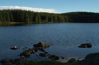 Lost_Collections/loch-kennard-loch-scoly