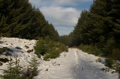 Winter Walks around Edinburgh, Scotland