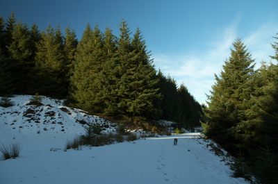 Winter Walks around Edinburgh, Scotland