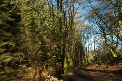 Winter Walks around Edinburgh, Scotland