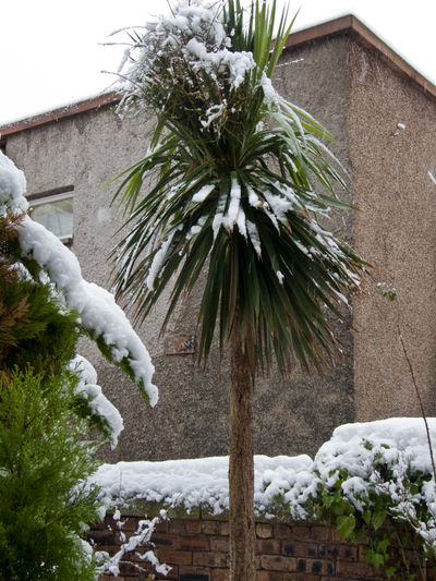 Snowy Winter in Edinburgh