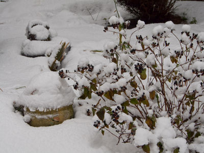 Snowy Winter in Edinburgh