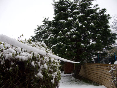 Snowy Winter in Edinburgh