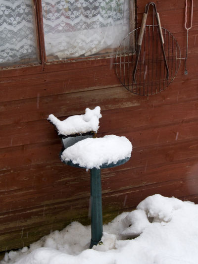 Snowy Winter in Edinburgh