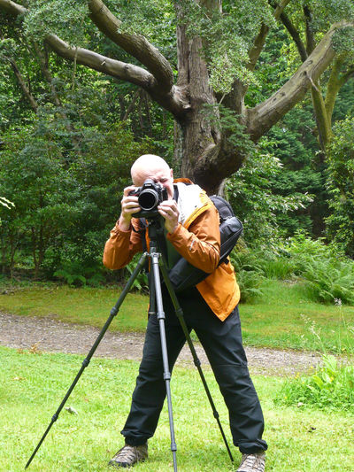 Brodick Castle and Garden, Isle of Arran, Scotland