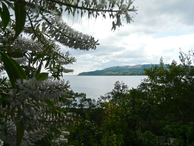 Brodick Castle and Garden, Isle of Arran, Scotland