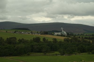 A factory stands tall amidst trees, emitting smoke, while a lush green field stretches towards the horizon, symbolizing coexistence of nature and industry.