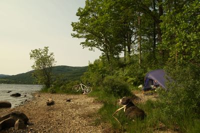 Summer in Scotland