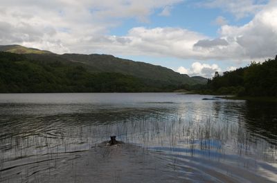 Summer in Scotland