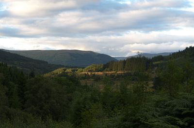 Summer in Scotland