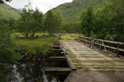 Summer in Scotland