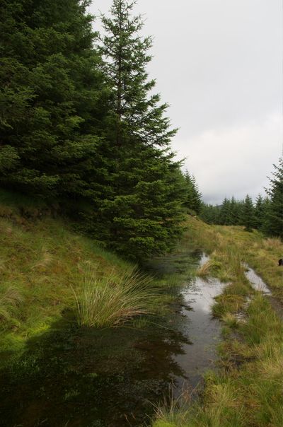 Summer in Scotland