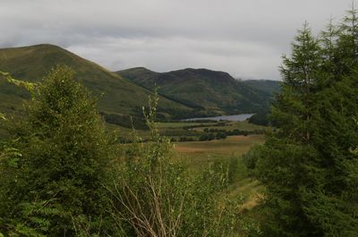 Summer in Scotland