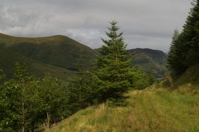 Summer in Scotland