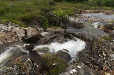 Summer in Scotland