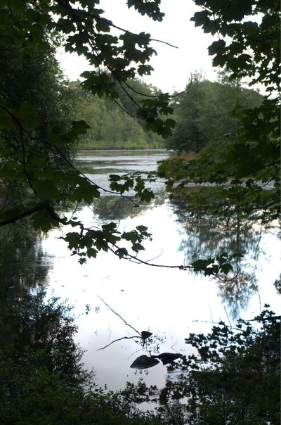 Summer in Scotland