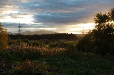 Summer in Scotland