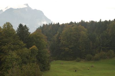 Hiking around Urnersee lake (part of Lake Lucerne)