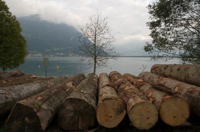 Hiking around Urnersee lake (part of Lake Lucerne)