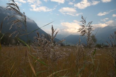 Hiking around Urnersee lake (part of Lake Lucerne)