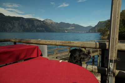 Hiking around Urnersee lake (part of Lake Lucerne)