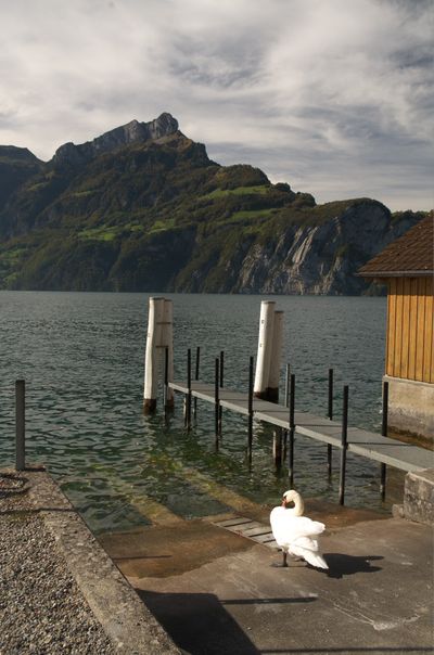 Hiking around Urnersee lake (part of Lake Lucerne)