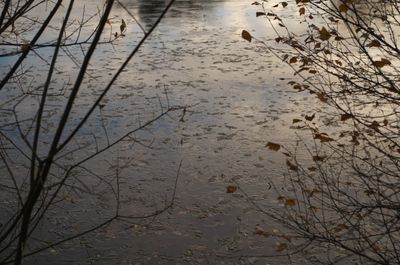 Land Nature Outdoors Water Pond Weather